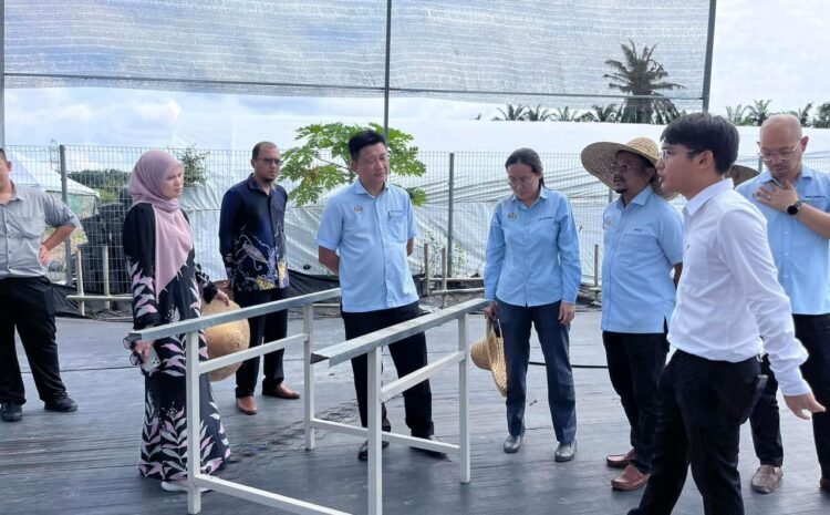  MELAWAT KEBUN VITROX AGRITECH