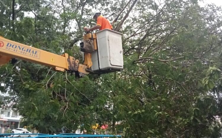  Pemangkasan pokok yang tumbang di kawasan Bkt Tambun